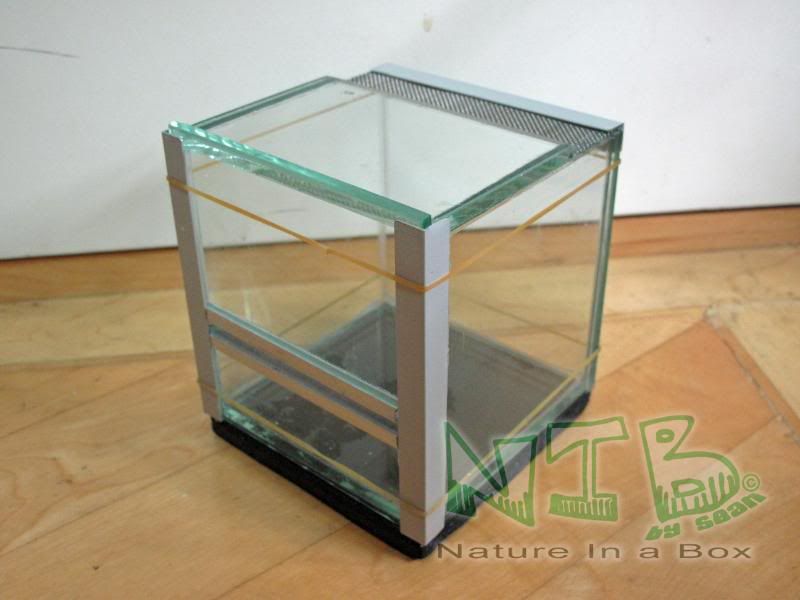 Convert a glass aquarium to a European style terrarium Dendroboard
